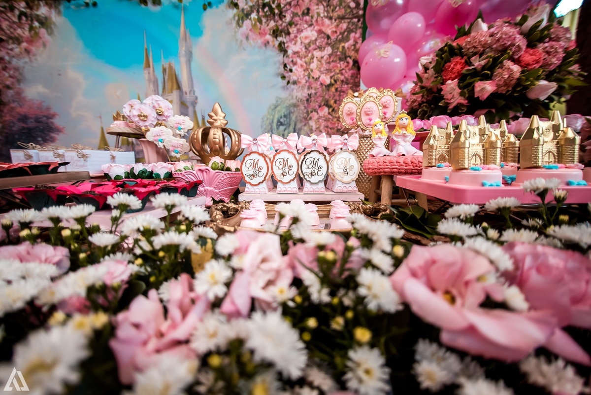 Aniversário Infantil Jardim da Princesa Alex Jardim Fotografia Fotógrafo Resende Itatiaia Penedo Porto Real Quatis Barra Mansa Volta Redonda Buffet Pintou Alegria Meu Pé de Jambo La Belle Maison Lenas Buffet Salão de Festas