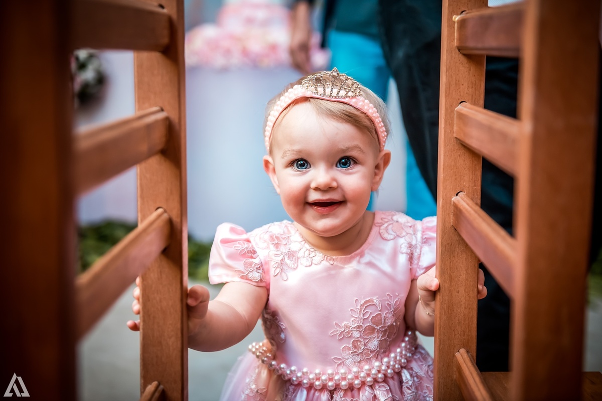 Aniversário Infantil Jardim da Princesa Alex Jardim Fotografia Fotógrafo Resende Itatiaia Penedo Porto Real Quatis Barra Mansa Volta Redonda Buffet Pintou Alegria Meu Pé de Jambo La Belle Maison Lenas Buffet Salão de Festas