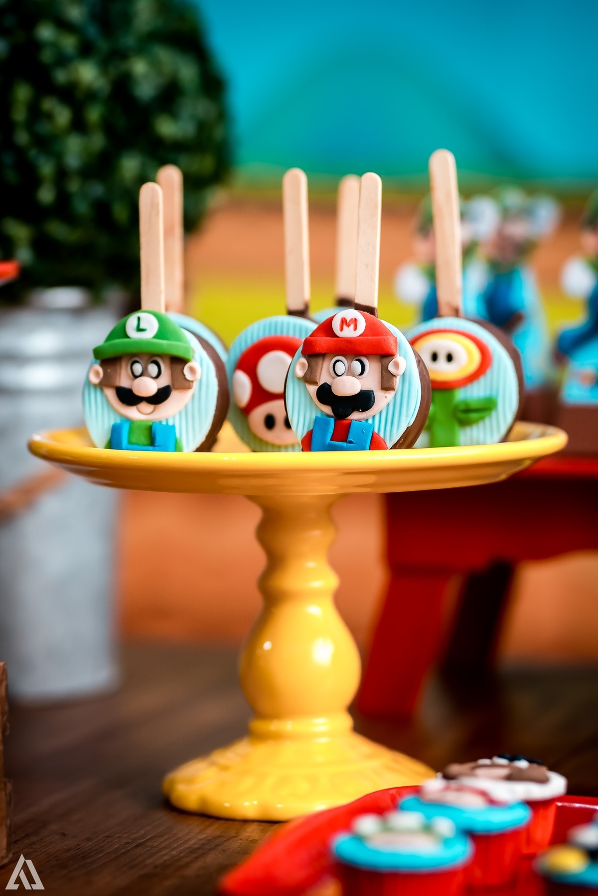 Aniversário Infantil Super Mario Bros Alex Jardim Fotografia Fotógrafo Resende Itatiaia Penedo Porto Real Quatis Barra Mansa Volta Redonda Buffet Pintou Alegria Meu Pé de Jambo La Belle Maison Lenas Buffet Salão de Festas