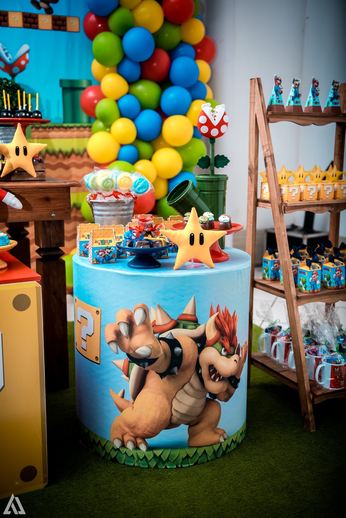 Aniversário Infantil Super Mario Bros Alex Jardim Fotografia Fotógrafo Resende Itatiaia Penedo Porto Real Quatis Barra Mansa Volta Redonda Buffet Pintou Alegria Meu Pé de Jambo La Belle Maison Lenas Buffet Salão de Festas