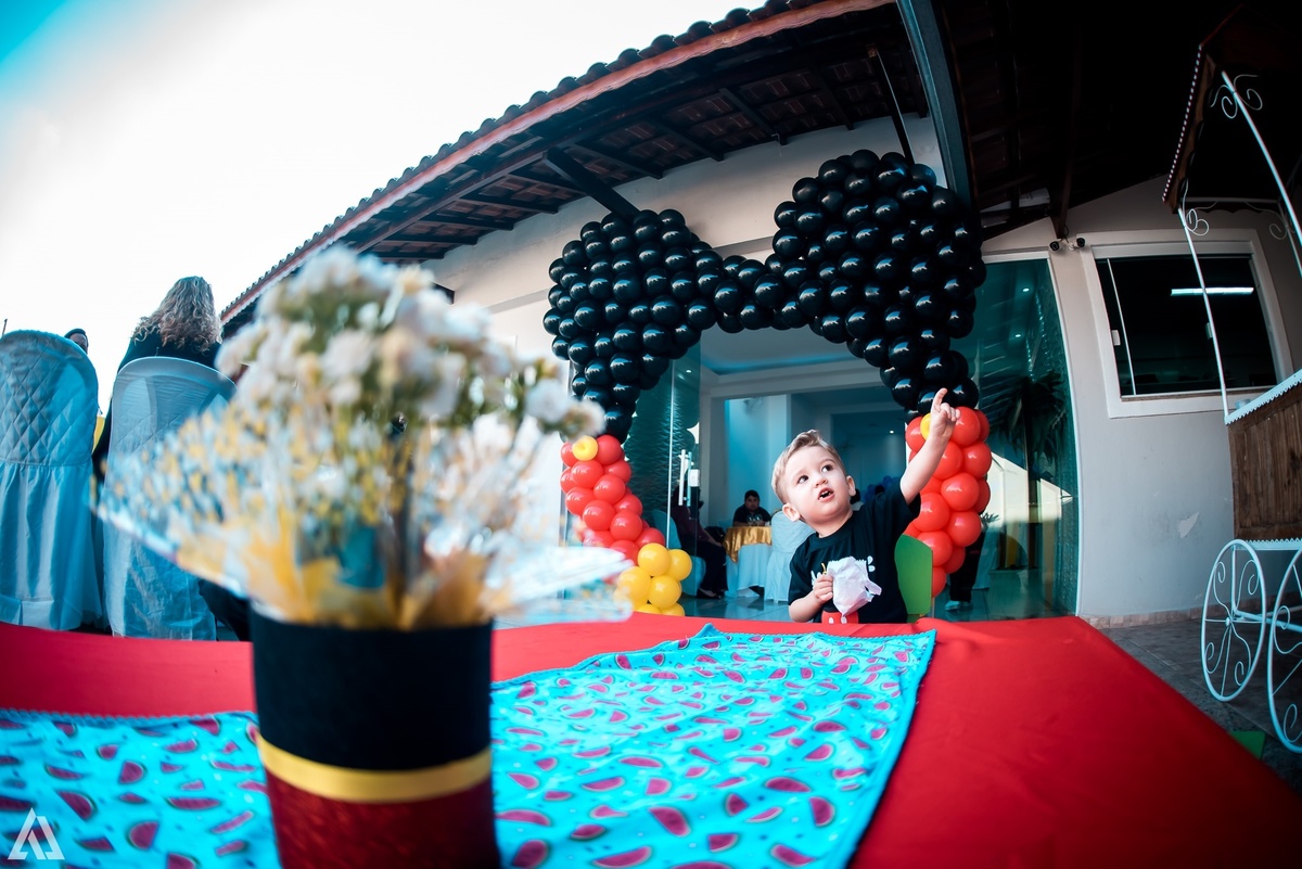 Aniversário Infantil Mickey Mouse Alex Jardim Fotografia Fotógrafo Resende Itatiaia Penedo Porto Real Quatis Barra Mansa Volta Redonda Buffet Pintou Alegria Meu Pé de Jambo La Belle Maison Lenas Buffet Salão de Festas