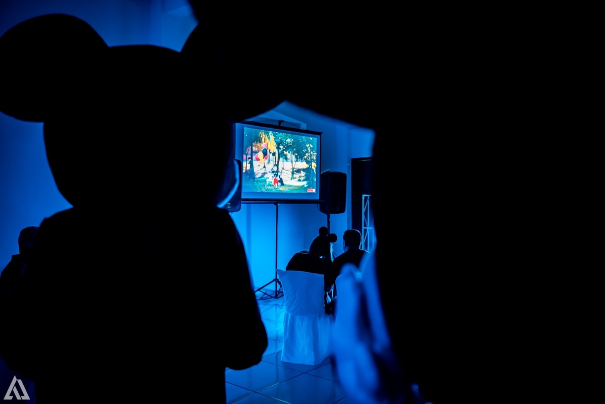 Aniversário Infantil Mickey Mouse Alex Jardim Fotografia Fotógrafo Resende Itatiaia Penedo Porto Real Quatis Barra Mansa Volta Redonda Buffet Pintou Alegria Meu Pé de Jambo La Belle Maison Lenas Buffet Salão de Festas