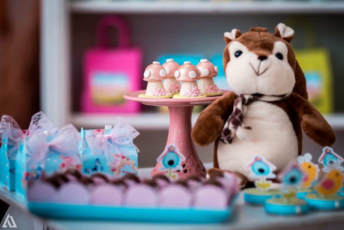 Aniversário Infantil Alex Jardim Fotografia Fotógrafo Resende Itatiaia Penedo Porto Real Quatis Barra Mansa Volta Redonda Buffet Pintou Alegria Meu Pé de Jambo La Belle Maison Lenas Buffet Salão de Festas