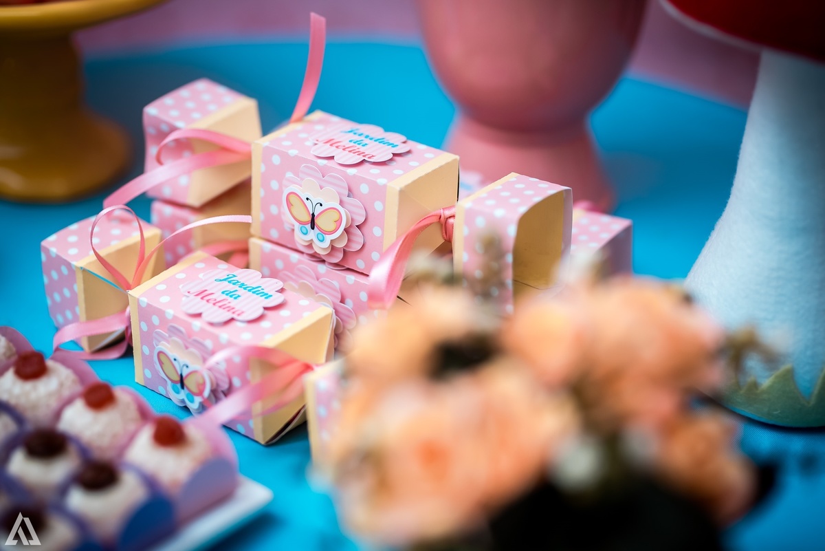 Aniversário Infantil Alex Jardim Fotografia Fotógrafo Resende Itatiaia Penedo Porto Real Quatis Barra Mansa Volta Redonda Buffet Pintou Alegria Meu Pé de Jambo La Belle Maison Lenas Buffet Salão de Festas