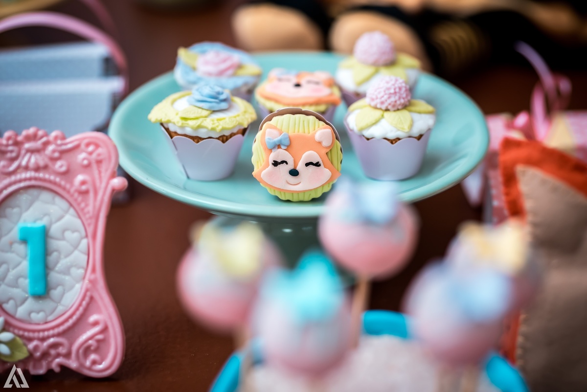 Aniversário Infantil Alex Jardim Fotografia Fotógrafo Resende Itatiaia Penedo Porto Real Quatis Barra Mansa Volta Redonda Buffet Pintou Alegria Meu Pé de Jambo La Belle Maison Lenas Buffet Salão de Festas