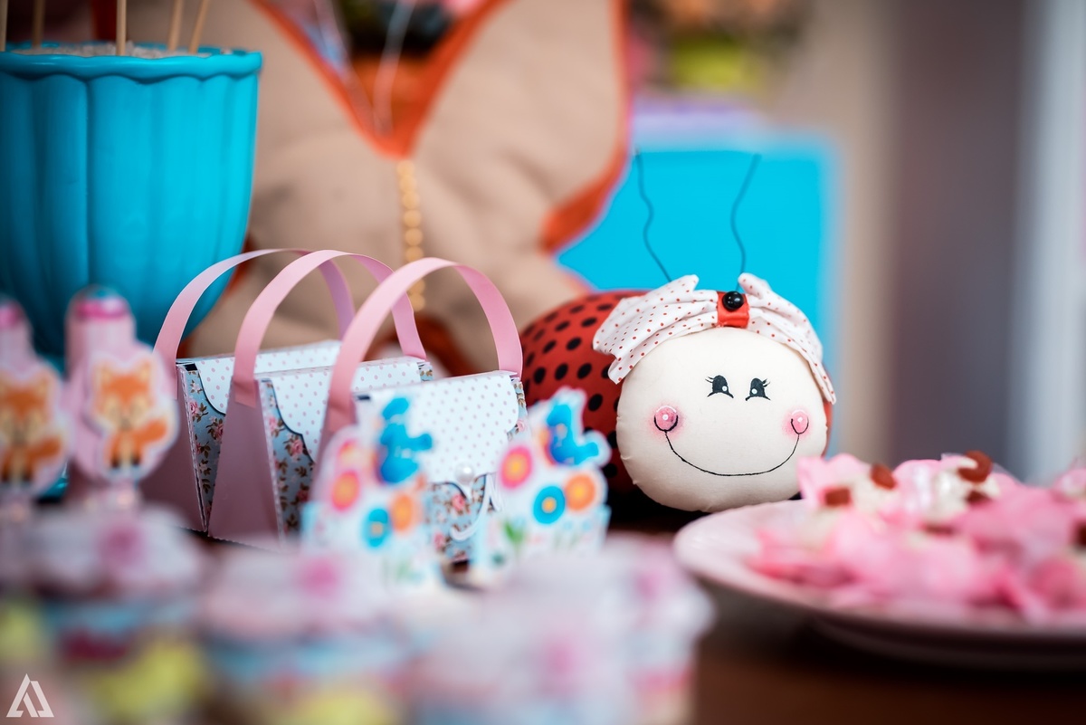 Aniversário Infantil Alex Jardim Fotografia Fotógrafo Resende Itatiaia Penedo Porto Real Quatis Barra Mansa Volta Redonda Buffet Pintou Alegria Meu Pé de Jambo La Belle Maison Lenas Buffet Salão de Festas