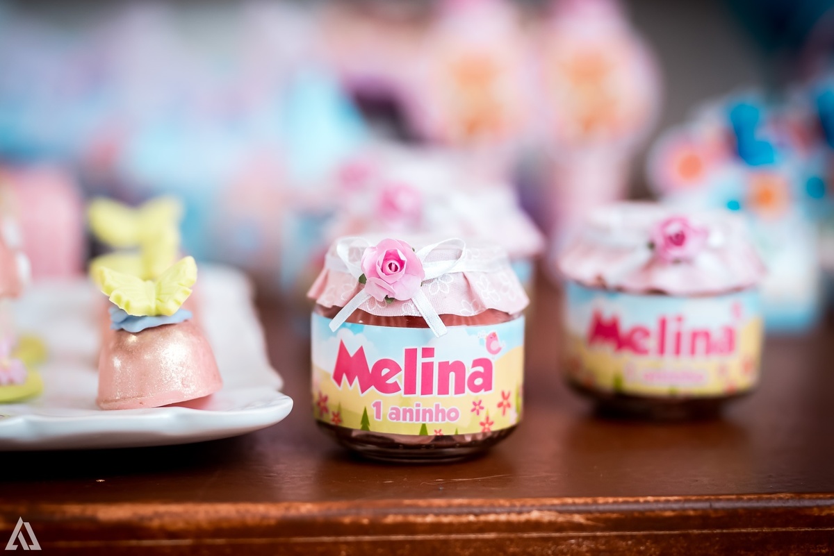 Aniversário Infantil Alex Jardim Fotografia Fotógrafo Resende Itatiaia Penedo Porto Real Quatis Barra Mansa Volta Redonda Buffet Pintou Alegria Meu Pé de Jambo La Belle Maison Lenas Buffet Salão de Festas