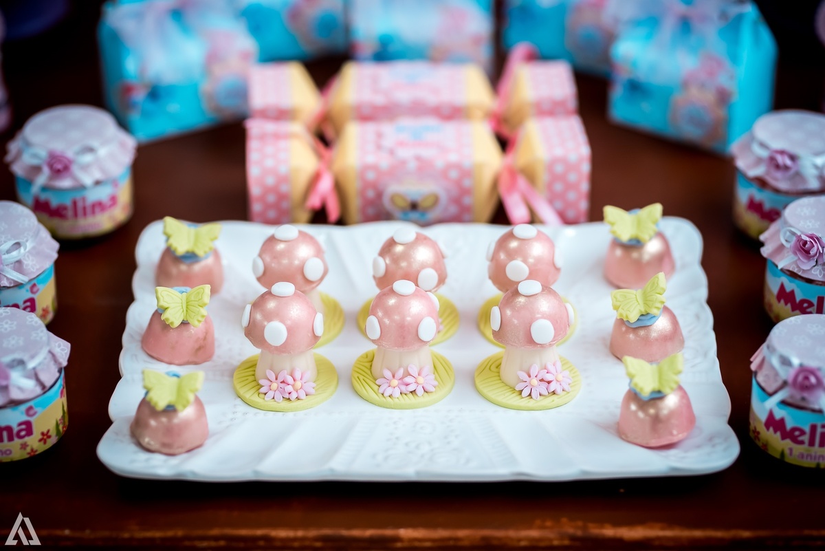 Aniversário Infantil Alex Jardim Fotografia Fotógrafo Resende Itatiaia Penedo Porto Real Quatis Barra Mansa Volta Redonda Buffet Pintou Alegria Meu Pé de Jambo La Belle Maison Lenas Buffet Salão de Festas