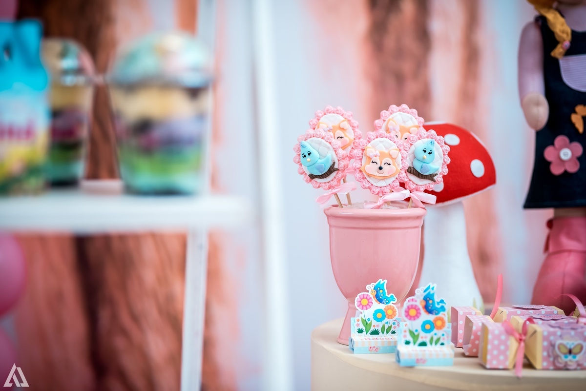 Aniversário Infantil Alex Jardim Fotografia Fotógrafo Resende Itatiaia Penedo Porto Real Quatis Barra Mansa Volta Redonda Buffet Pintou Alegria Meu Pé de Jambo La Belle Maison Lenas Buffet Salão de Festas