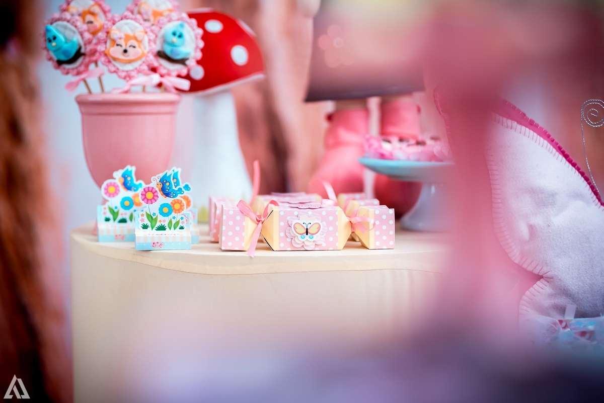 Aniversário Infantil Alex Jardim Fotografia Fotógrafo Resende Itatiaia Penedo Porto Real Quatis Barra Mansa Volta Redonda Buffet Pintou Alegria Meu Pé de Jambo La Belle Maison Lenas Buffet Salão de Festas