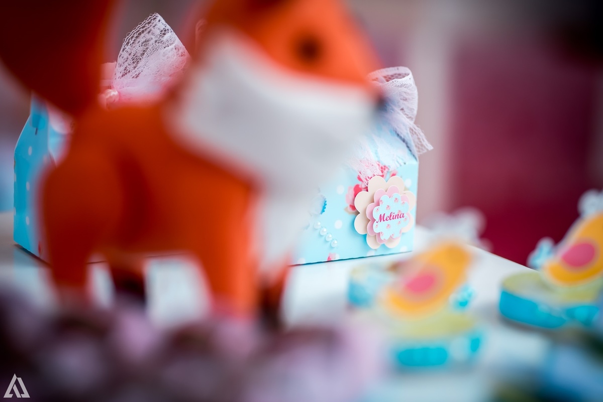 Aniversário Infantil Alex Jardim Fotografia Fotógrafo Resende Itatiaia Penedo Porto Real Quatis Barra Mansa Volta Redonda Buffet Pintou Alegria Meu Pé de Jambo La Belle Maison Lenas Buffet Salão de Festas