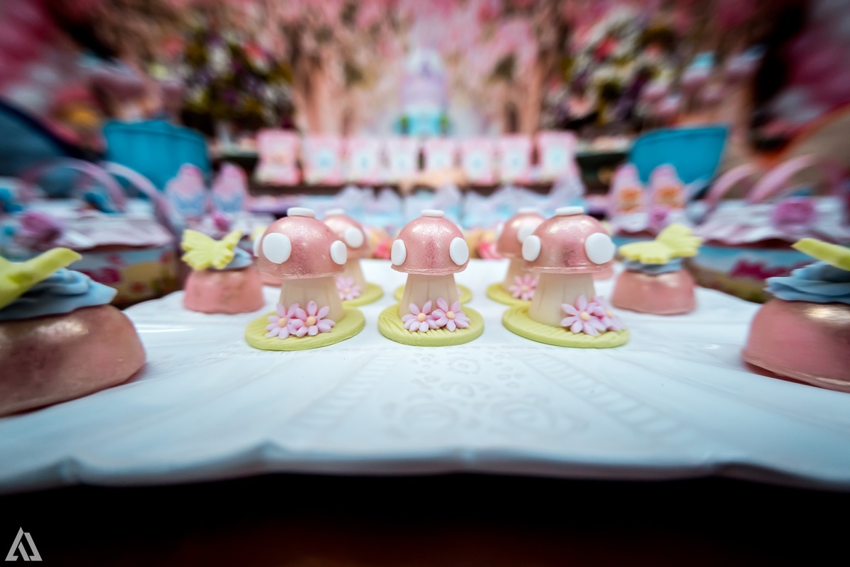 Aniversário Infantil Alex Jardim Fotografia Fotógrafo Resende Itatiaia Penedo Porto Real Quatis Barra Mansa Volta Redonda Buffet Pintou Alegria Meu Pé de Jambo La Belle Maison Lenas Buffet Salão de Festas