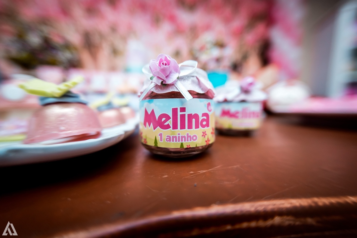 Aniversário Infantil Alex Jardim Fotografia Fotógrafo Resende Itatiaia Penedo Porto Real Quatis Barra Mansa Volta Redonda Buffet Pintou Alegria Meu Pé de Jambo La Belle Maison Lenas Buffet Salão de Festas