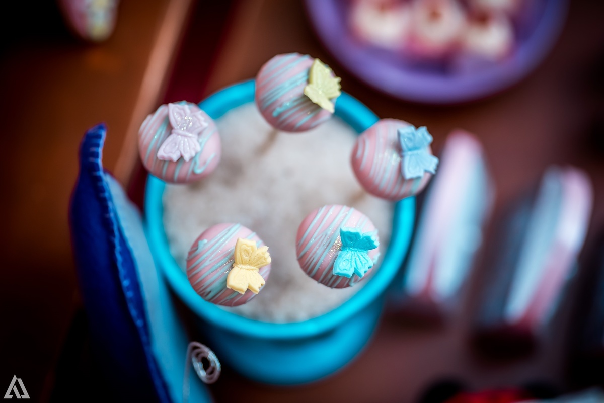 Aniversário Infantil Alex Jardim Fotografia Fotógrafo Resende Itatiaia Penedo Porto Real Quatis Barra Mansa Volta Redonda Buffet Pintou Alegria Meu Pé de Jambo La Belle Maison Lenas Buffet Salão de Festas