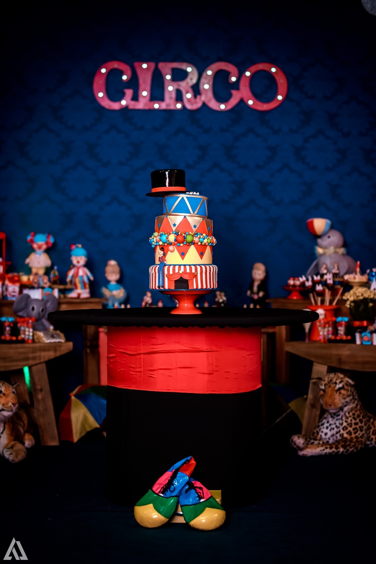 Aniversário Infantil Circo do Mickey Alex Jardim Fotografia Fotógrafo Resende Itatiaia Penedo Porto Real Quatis Barra Mansa Volta Redonda Buffet Pintou Alegria Meu Pé de Jambo La Belle Maison Lenas Buffet Marcelo Benevenuto Zagueiro do Botafogo