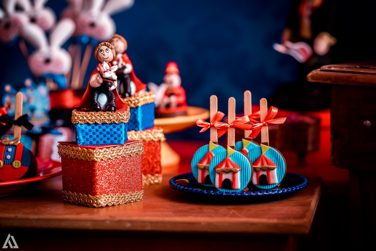 Aniversário Infantil Circo do Mickey Alex Jardim Fotografia Fotógrafo Resende Itatiaia Penedo Porto Real Quatis Barra Mansa Volta Redonda Buffet Pintou Alegria Meu Pé de Jambo La Belle Maison Lenas Buffet Marcelo Benevenuto Zagueiro do Botafogo