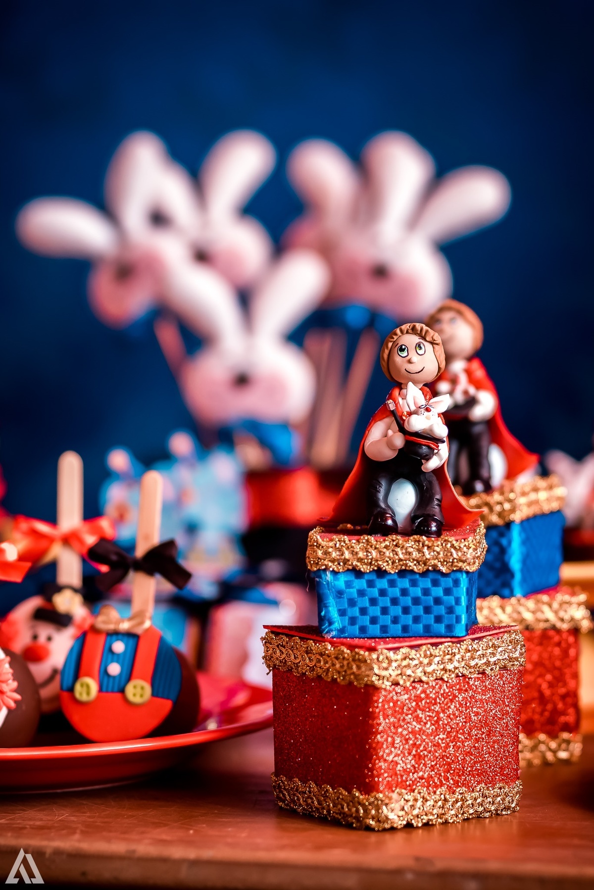 Aniversário Infantil Circo do Mickey Alex Jardim Fotografia Fotógrafo Resende Itatiaia Penedo Porto Real Quatis Barra Mansa Volta Redonda Buffet Pintou Alegria Meu Pé de Jambo La Belle Maison Lenas Buffet Marcelo Benevenuto Zagueiro do Botafogo