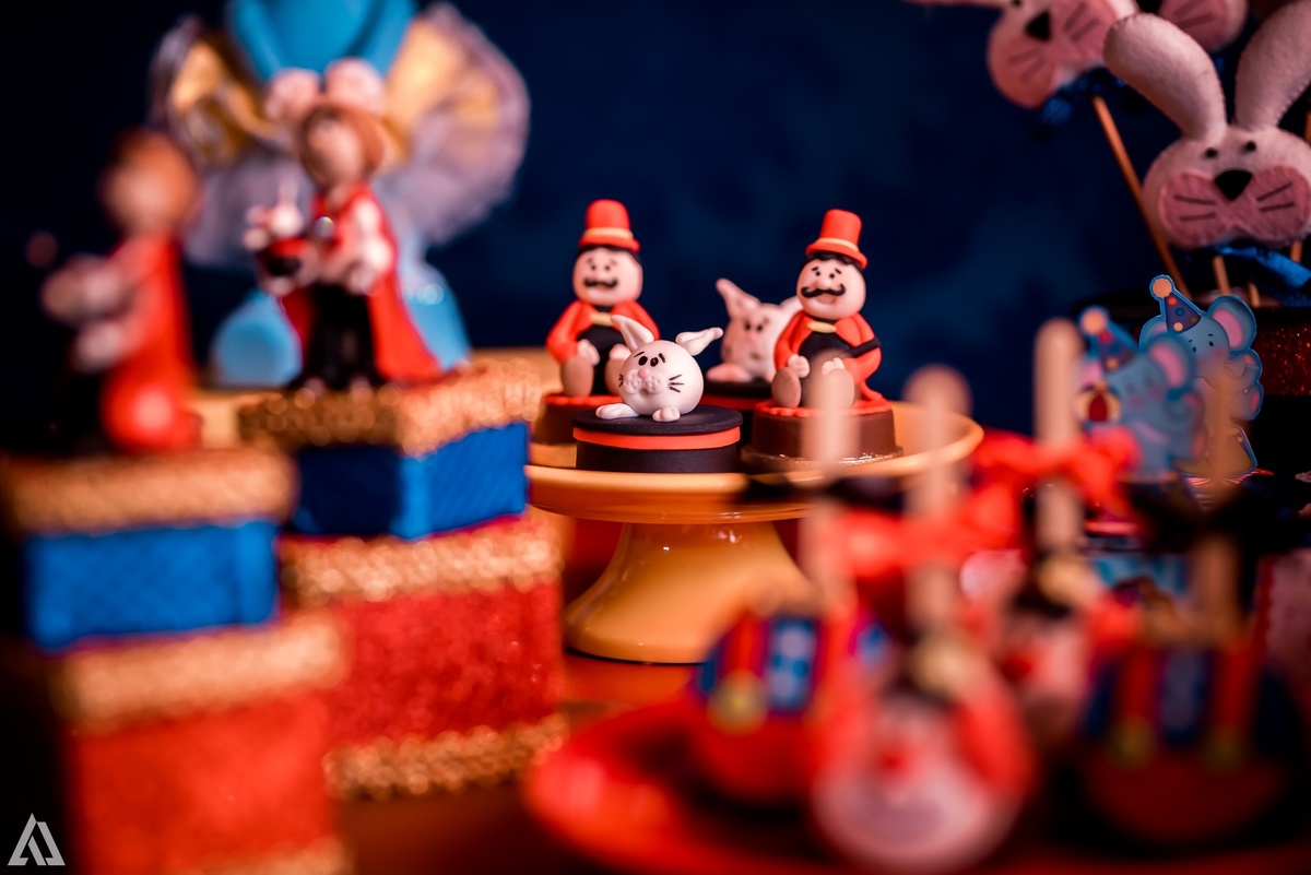 Aniversário Infantil Circo do Mickey Alex Jardim Fotografia Fotógrafo Resende Itatiaia Penedo Porto Real Quatis Barra Mansa Volta Redonda Buffet Pintou Alegria Meu Pé de Jambo La Belle Maison Lenas Buffet Marcelo Benevenuto Zagueiro do Botafogo