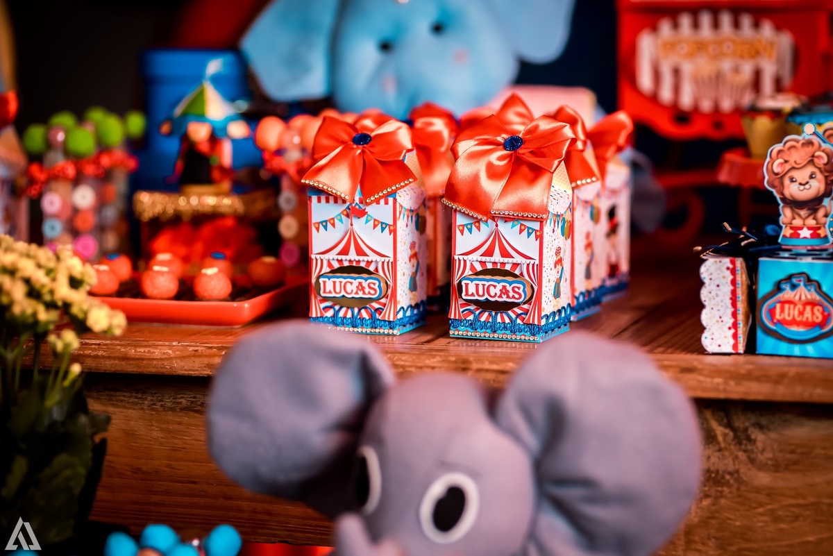 Aniversário Infantil Circo do Mickey Alex Jardim Fotografia Fotógrafo Resende Itatiaia Penedo Porto Real Quatis Barra Mansa Volta Redonda Buffet Pintou Alegria Meu Pé de Jambo La Belle Maison Lenas Buffet Marcelo Benevenuto Zagueiro do Botafogo