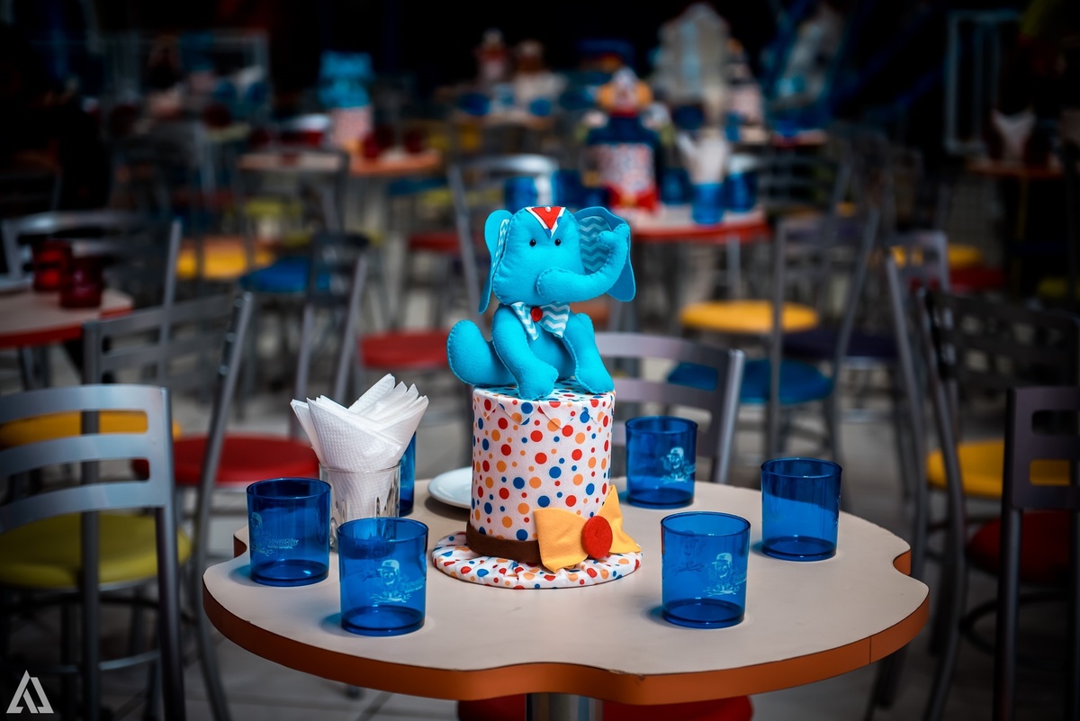 Aniversário Infantil Circo do Mickey Alex Jardim Fotografia Fotógrafo Resende Itatiaia Penedo Porto Real Quatis Barra Mansa Volta Redonda Buffet Pintou Alegria Meu Pé de Jambo La Belle Maison Lenas Buffet Marcelo Benevenuto Zagueiro do Botafogo