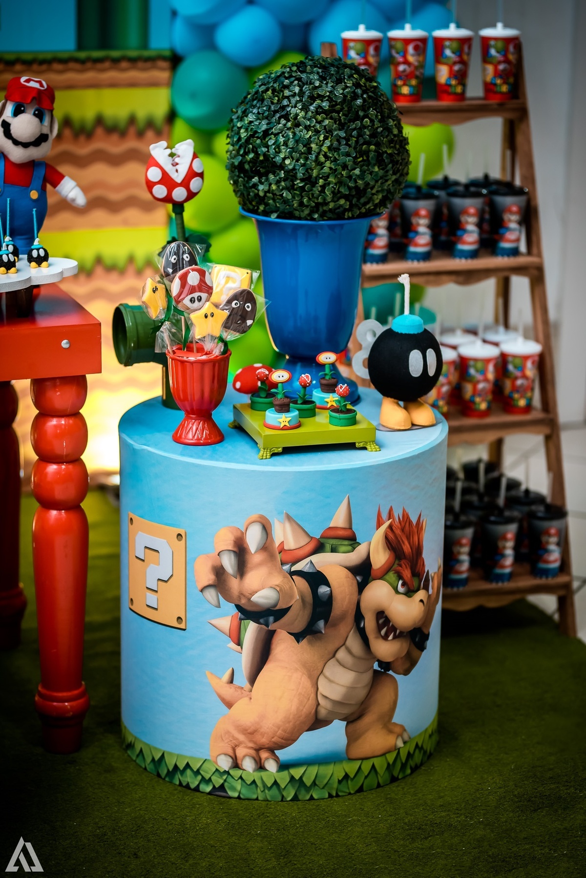 Aniversário Infantil Super Mario Bros Alex Jardim Fotografia Fotógrafo Resende Itatiaia Penedo Porto Real Quatis Barra Mansa Volta Redonda Buffet Pintou Alegria Meu Pé de Jambo La Belle Maison Lenas Buffet Salão de Festas