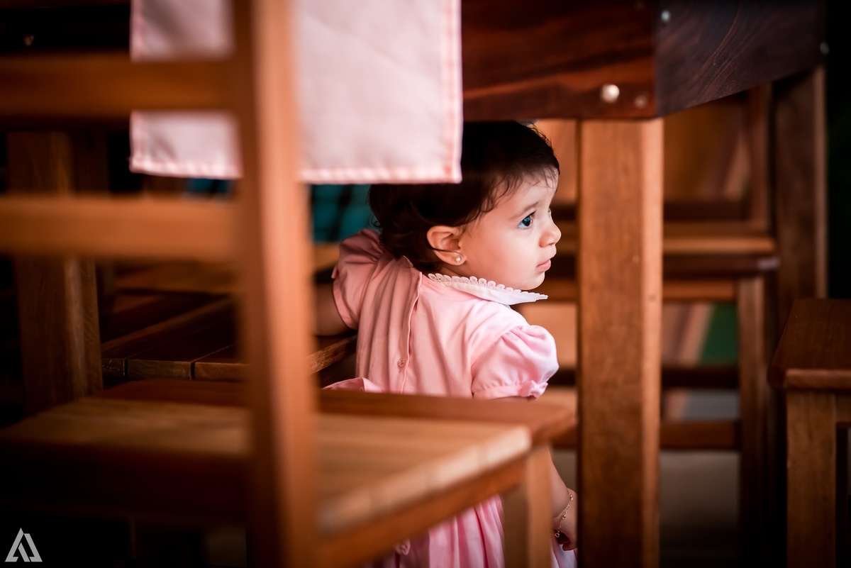Aniversário Infantil Princesa Alex Jardim Fotografia Fotógrafo Resende Itatiaia Penedo Porto Real Quatis Barra Mansa Volta Redonda Buffet Pintou Alegria Meu Pé de Jambo La Belle Maison Lenas Buffet Salão de Festas