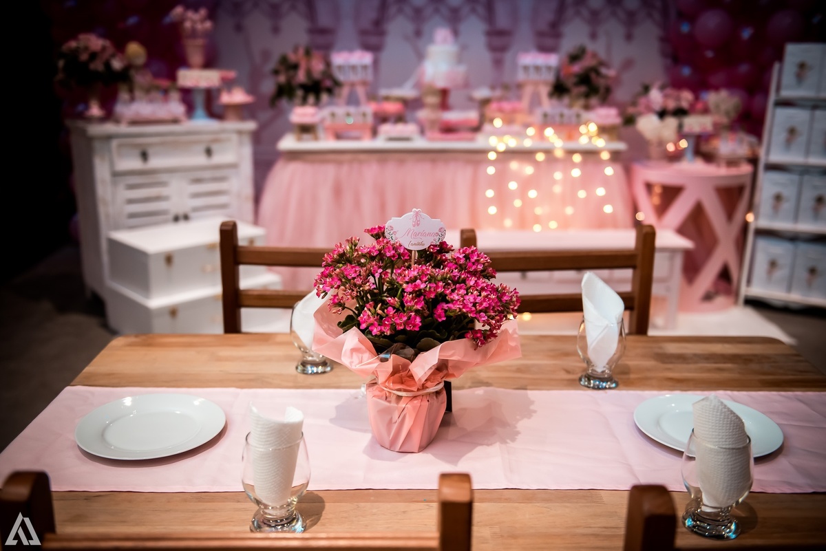Aniversário Infantil Princesa Alex Jardim Fotografia Fotógrafo Resende Itatiaia Penedo Porto Real Quatis Barra Mansa Volta Redonda Buffet Pintou Alegria Meu Pé de Jambo La Belle Maison Lenas Buffet Salão de Festas