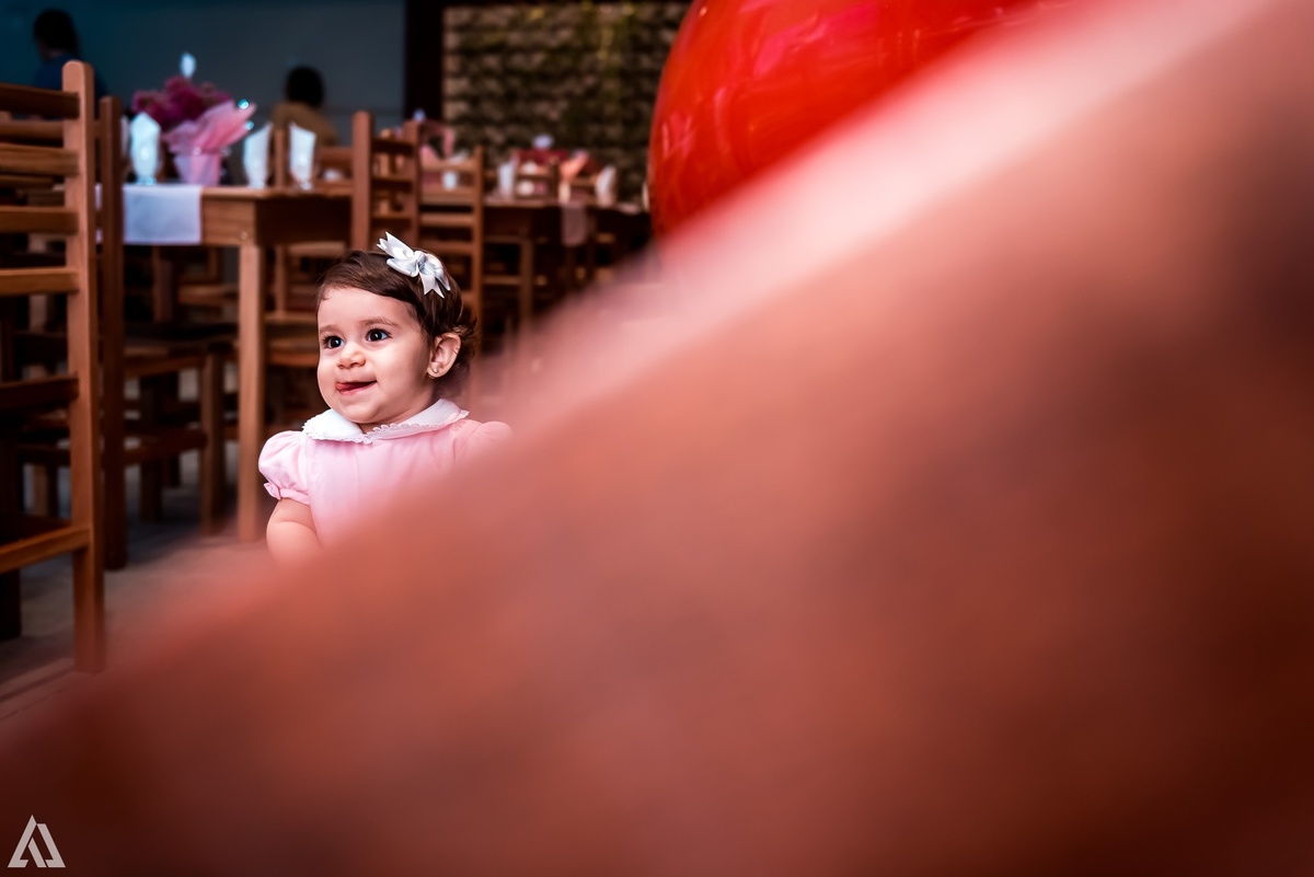Aniversário Infantil Princesa Alex Jardim Fotografia Fotógrafo Resende Itatiaia Penedo Porto Real Quatis Barra Mansa Volta Redonda Buffet Pintou Alegria Meu Pé de Jambo La Belle Maison Lenas Buffet Salão de Festas