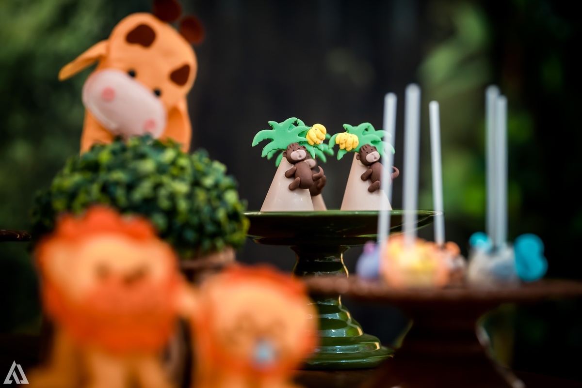 Aniversário Infantil Safari Selva Alex Jardim Fotografia Fotógrafo Resende Itatiaia Penedo Porto Real Quatis Barra Mansa Volta Redonda Buffet Pintou Alegria Meu Pé de Jambo La Belle Maison Lenas Buffet Salão de Festas