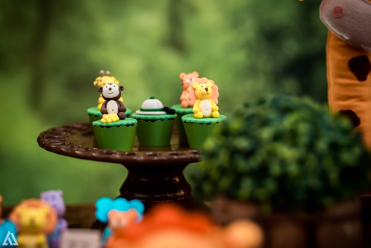 Aniversário Infantil Safari Selva Alex Jardim Fotografia Fotógrafo Resende Itatiaia Penedo Porto Real Quatis Barra Mansa Volta Redonda Buffet Pintou Alegria Meu Pé de Jambo La Belle Maison Lenas Buffet Salão de Festas