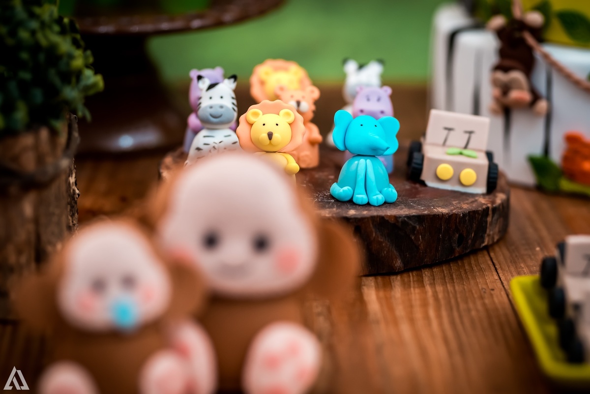 Aniversário Infantil Safari Selva Alex Jardim Fotografia Fotógrafo Resende Itatiaia Penedo Porto Real Quatis Barra Mansa Volta Redonda Buffet Pintou Alegria Meu Pé de Jambo La Belle Maison Lenas Buffet Salão de Festas