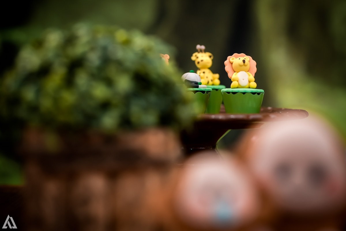 Aniversário Infantil Safari Selva Alex Jardim Fotografia Fotógrafo Resende Itatiaia Penedo Porto Real Quatis Barra Mansa Volta Redonda Buffet Pintou Alegria Meu Pé de Jambo La Belle Maison Lenas Buffet Salão de Festas