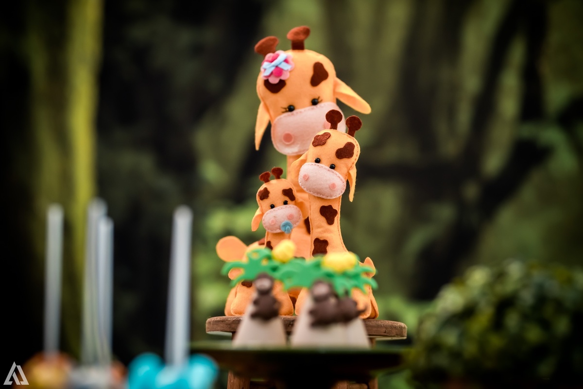 Aniversário Infantil Safari Selva Alex Jardim Fotografia Fotógrafo Resende Itatiaia Penedo Porto Real Quatis Barra Mansa Volta Redonda Buffet Pintou Alegria Meu Pé de Jambo La Belle Maison Lenas Buffet Salão de Festas