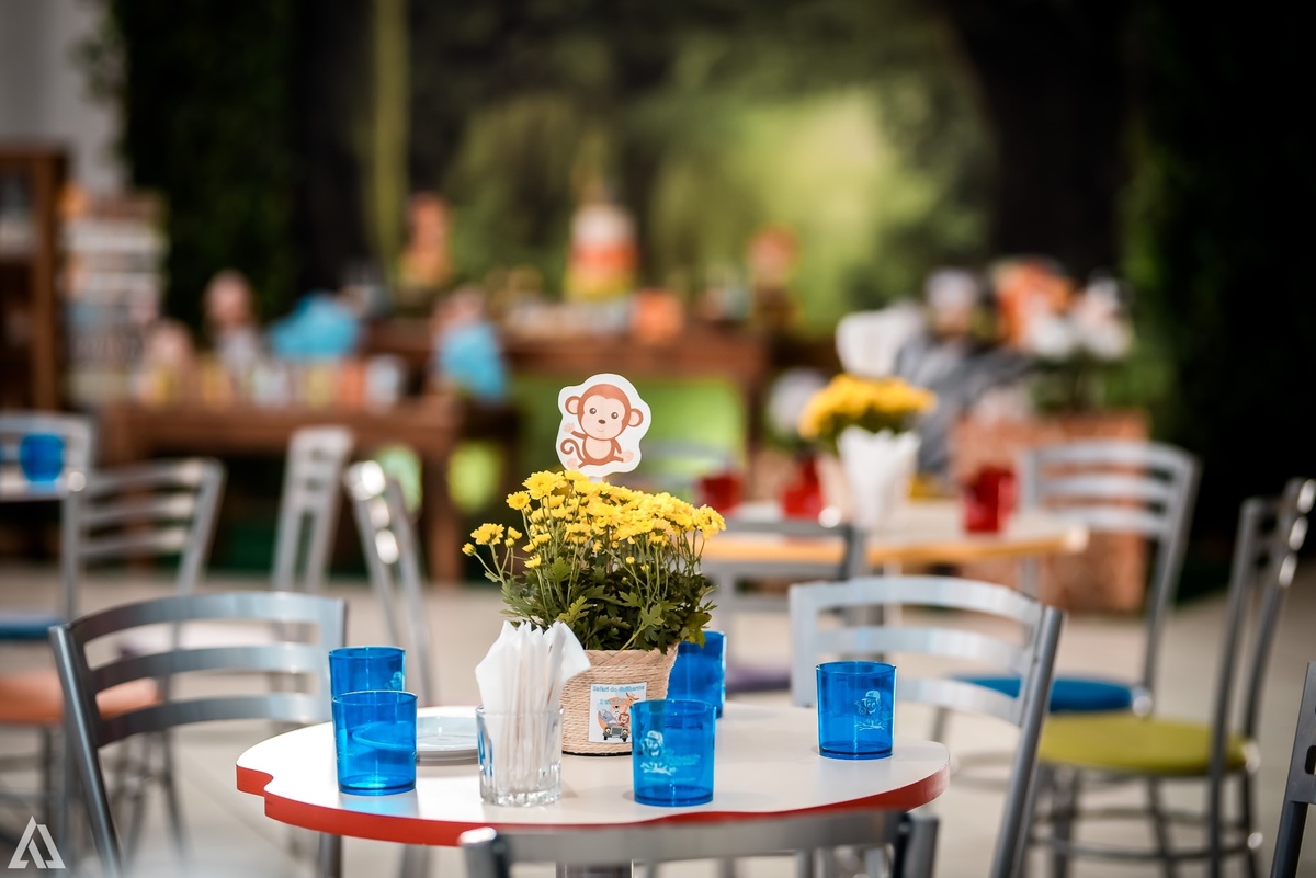 Aniversário Infantil Safari Selva Alex Jardim Fotografia Fotógrafo Resende Itatiaia Penedo Porto Real Quatis Barra Mansa Volta Redonda Buffet Pintou Alegria Meu Pé de Jambo La Belle Maison Lenas Buffet Salão de Festas