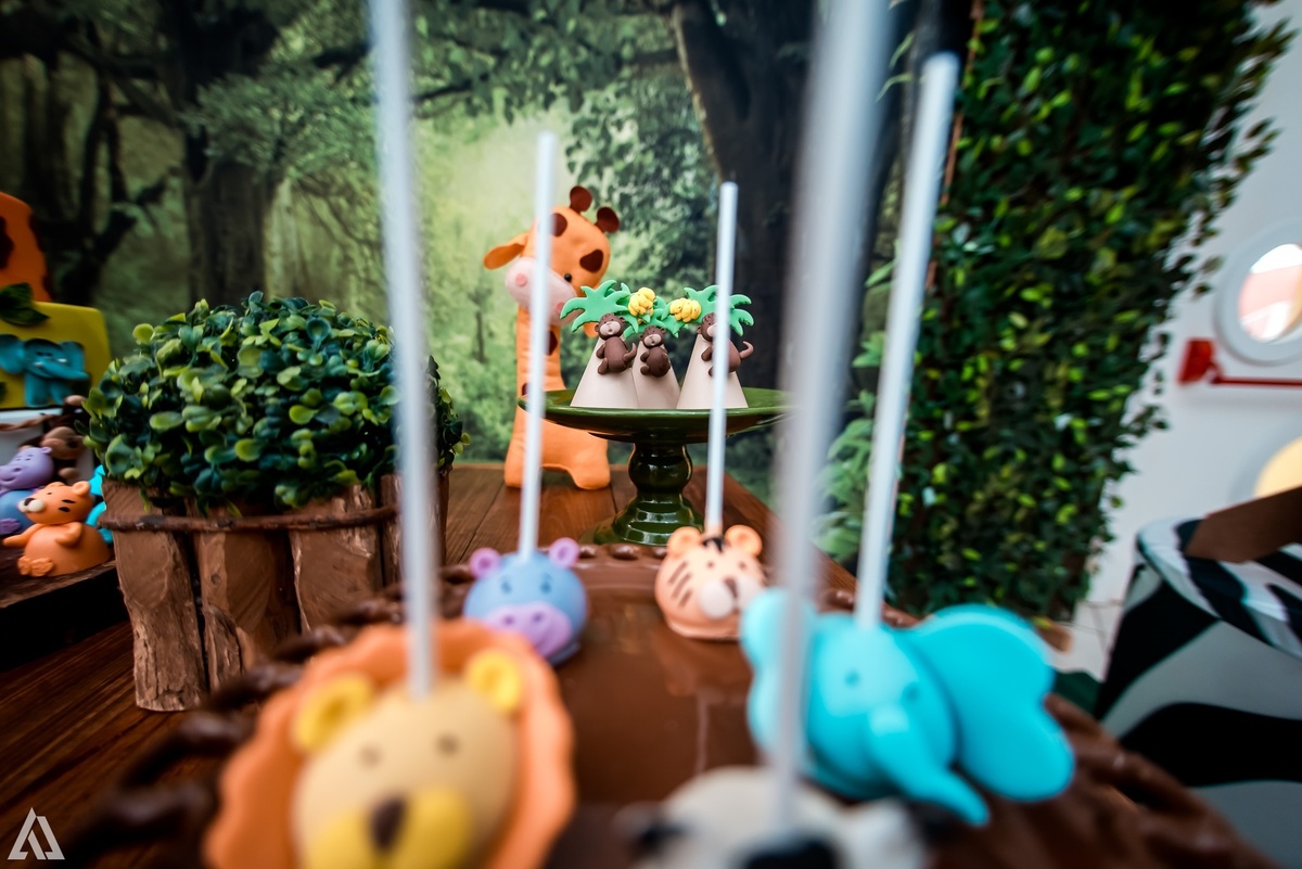 Aniversário Infantil Safari Selva Alex Jardim Fotografia Fotógrafo Resende Itatiaia Penedo Porto Real Quatis Barra Mansa Volta Redonda Buffet Pintou Alegria Meu Pé de Jambo La Belle Maison Lenas Buffet Salão de Festas