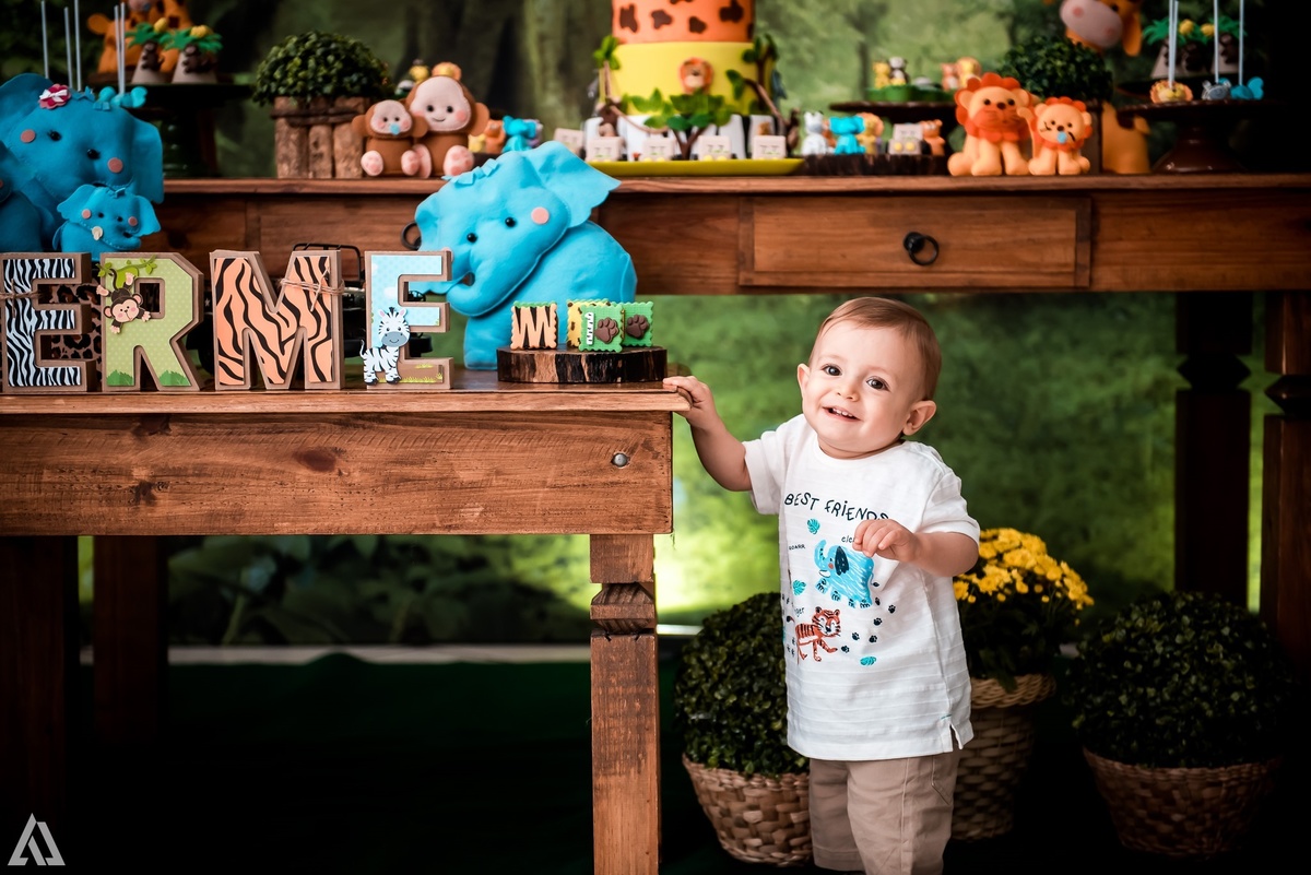 Aniversário Infantil Safari Selva Alex Jardim Fotografia Fotógrafo Resende Itatiaia Penedo Porto Real Quatis Barra Mansa Volta Redonda Buffet Pintou Alegria Meu Pé de Jambo La Belle Maison Lenas Buffet Salão de Festas