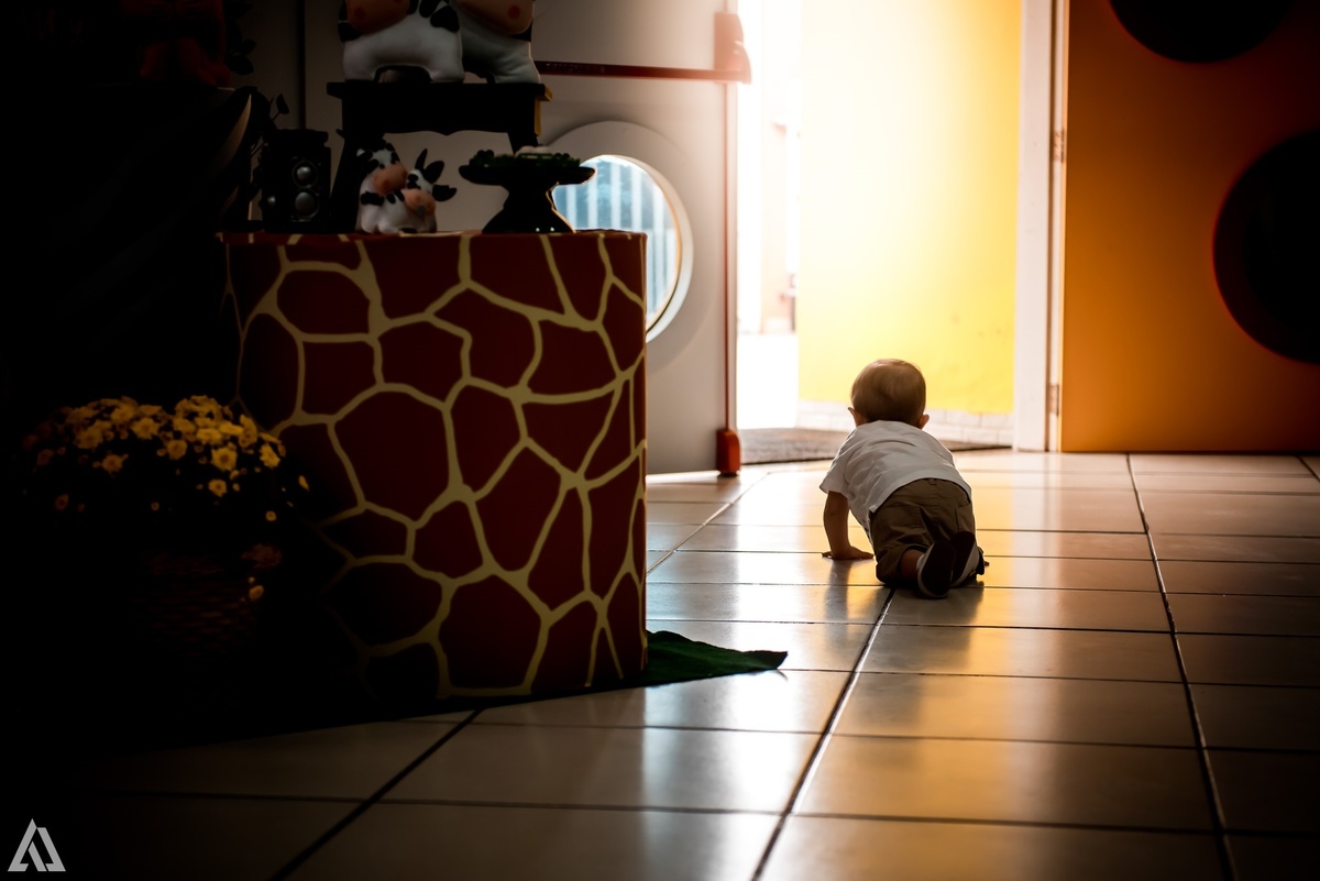 Aniversário Infantil Safari Selva Alex Jardim Fotografia Fotógrafo Resende Itatiaia Penedo Porto Real Quatis Barra Mansa Volta Redonda Buffet Pintou Alegria Meu Pé de Jambo La Belle Maison Lenas Buffet Salão de Festas