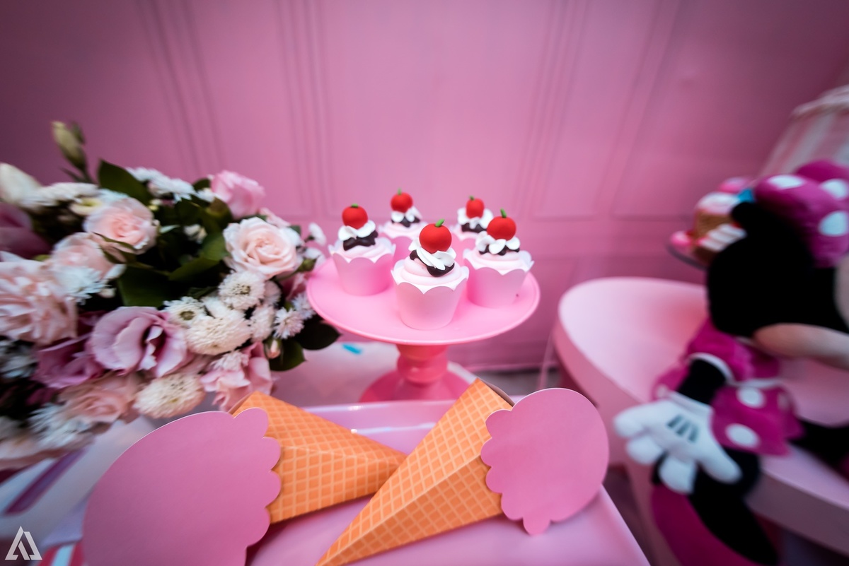 Alex Jardim Fotografia Fotógrafo Festa Aniversário Infantil Resende Itatiaia Penedo Porto Real Quatis Barra Mansa Volta Redonda La Belle Maison Lena Buffet Pintou Alegria Meu Pé de Jambo Espaço Montana Eventos