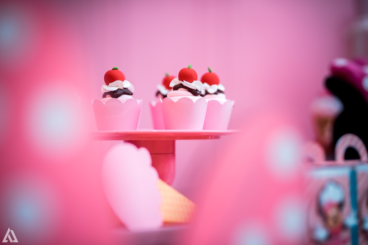 Alex Jardim Fotografia Fotógrafo Festa Aniversário Infantil Resende Itatiaia Penedo Porto Real Quatis Barra Mansa Volta Redonda La Belle Maison Lena Buffet Pintou Alegria Espaço Montana Eventos