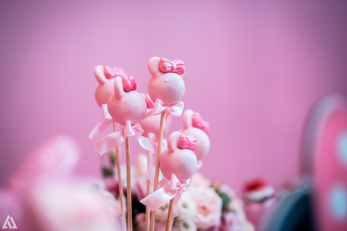 Alex Jardim Fotografia Fotógrafo Festa Aniversário Infantil Resende Itatiaia Penedo Porto Real Quatis Barra Mansa Volta Redonda La Belle Maison Lena Buffet Pintou Alegria Espaço Montana Eventos