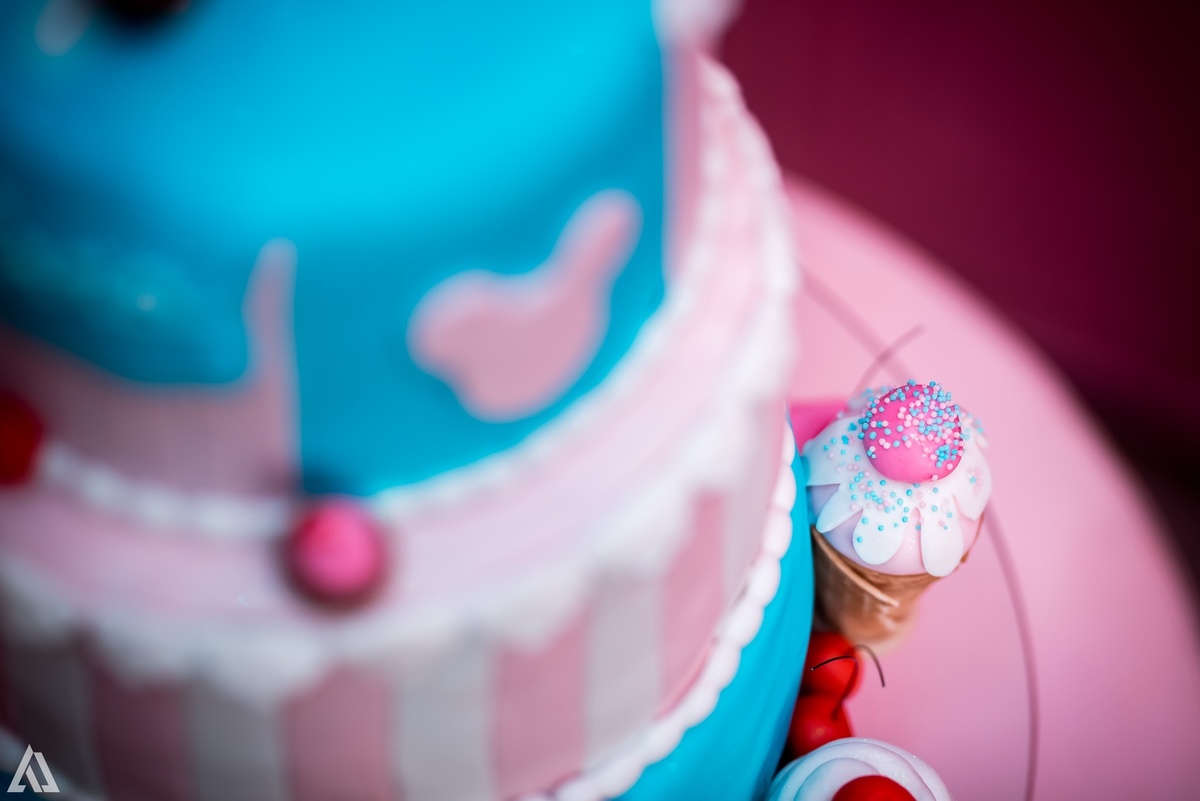 Alex Jardim Fotografia Fotógrafo Festa Aniversário Infantil Resende Itatiaia Penedo Porto Real Quatis Barra Mansa Volta Redonda La Belle Maison Lena Buffet Pintou Alegria Meu Pé de Jambo Espaço Montana Eventos