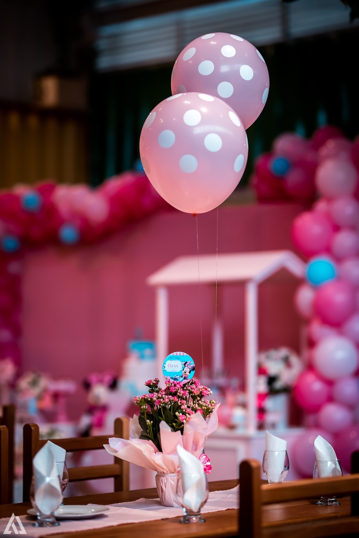 Alex Jardim Fotografia Fotógrafo Festa Aniversário Infantil Resende Itatiaia Penedo Porto Real Quatis Barra Mansa Volta Redonda La Belle Maison Lena Buffet Pintou Alegria Espaço Montana Eventos