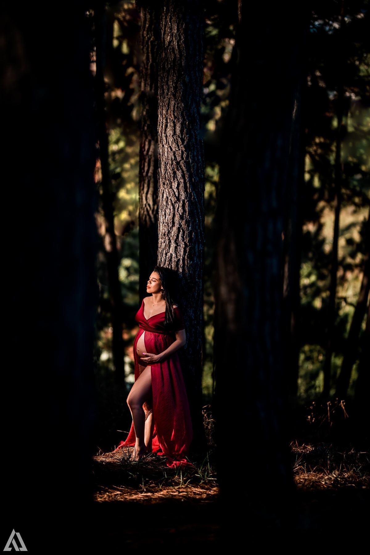 Alex Jardim Fotografia Fotógrafo Ensaio Gestante Grávida Lifestyle Resende Itatiaia Penedo Porto Real Quatis Barra Mansa Volta Redonda Sul Fluminense Serrinha do Alambari Angra dos Reis Paraty