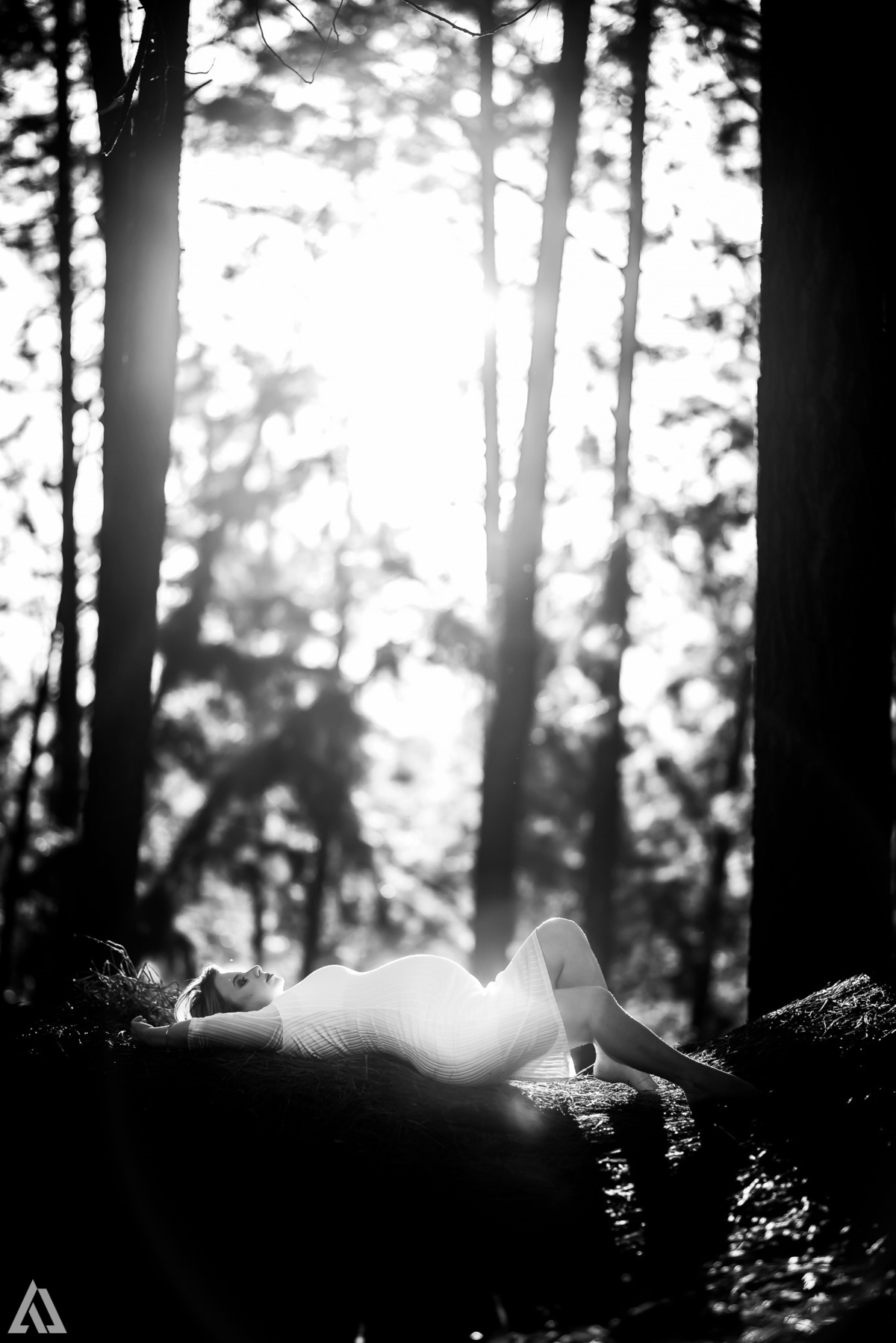 Alex Jardim Fotografia Fotógrafo Ensaio Gestante Grávida Lifestyle  Resende Itatiaia Penedo Porto Real Quatis Barra Mansa Volta Redonda Sul Fluminense Serrinha do Alambari Angra dos Reis Paraty