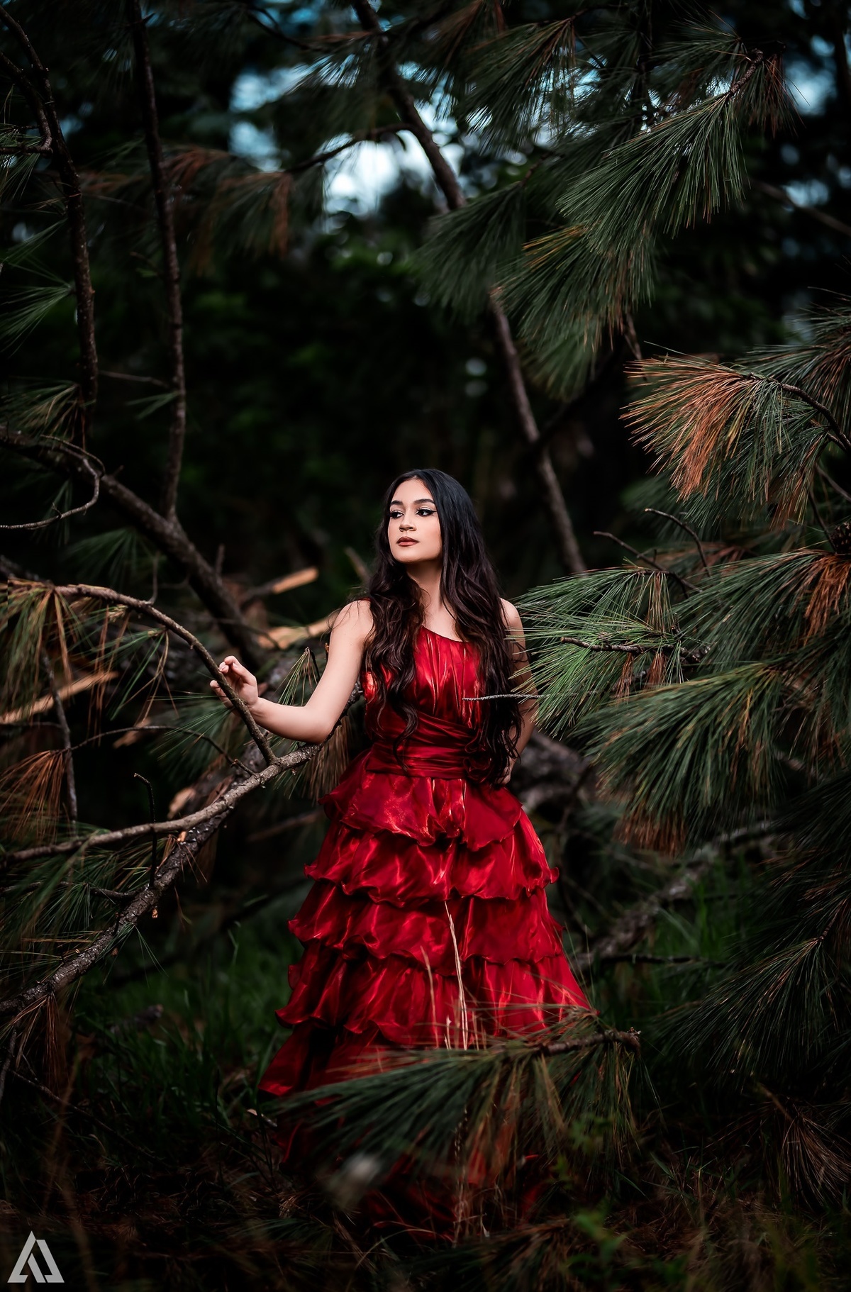 Ensaio Book Debutante 15 Anos Clássico Época Medieva Alex Jardim Fotografia Fotógrafo Fotografia Fotógrafo Resende Itatiaia Penedo Porto Real Quatis Barra Mansa Volta Redonda Galpão Mix Lena Buffet La Belle Maison Tatiana Souza Camila Hoffmann Cerimonial 