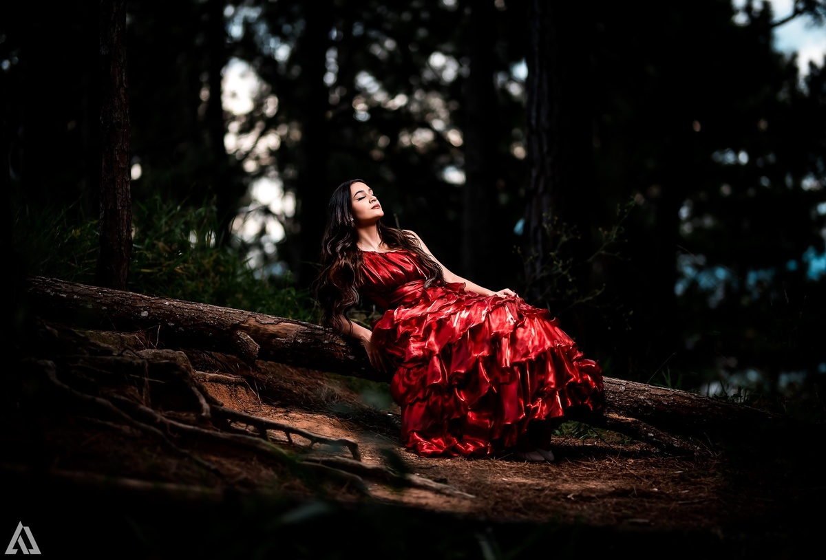 Ensaio Book Debutante 15 Anos Clássico Época Medieva Alex Jardim Fotografia Fotógrafo Fotografia Fotógrafo Resende Itatiaia Penedo Porto Real Quatis Barra Mansa Volta Redonda Galpão Mix Lena Buffet La Belle Maison Tatiana Souza Camila Hoffmann Cerimonial 