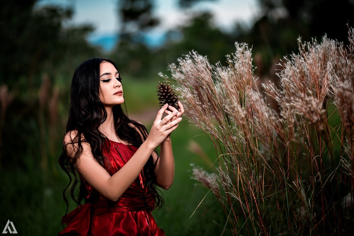 Ensaio Book Debutante 15 Anos Clássico Época Medieva Alex Jardim Fotografia Fotógrafo Fotografia Fotógrafo Resende Itatiaia Penedo Porto Real Quatis Barra Mansa Volta Redonda Galpão Mix Lena Buffet La Belle Maison Tatiana Souza Camila Hoffmann Cerimonial 