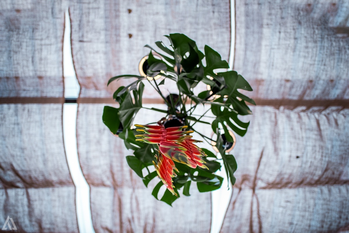 Wedding Casamento Buffet Making Off Decoração Bem Casados Cerimonialista Fotógrafo Vestido Noiva Noivo Camila Hoffmann Cerimonial Elimeire Assessoria de Evento Dani Vidal La Belle Maison Lena Buffet Casarão Penedo Diva Buffet Buquê Resende Penedo Itatiaia