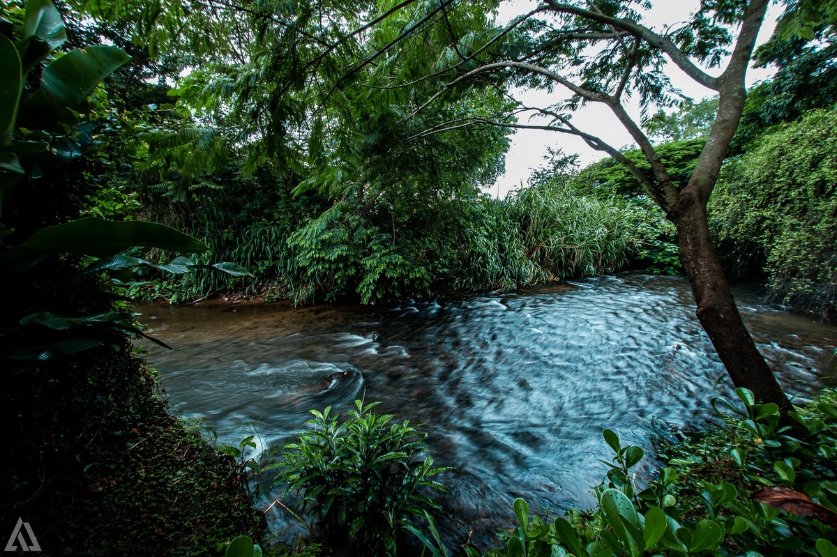 Wedding Casamento Buffet Making Off Decoração Bem Casados Cerimonialista Fotógrafo Vestido Noiva Noivo Camila Hoffmann Cerimonial Elimeire Assessoria de Evento Dani Vidal La Belle Maison Lena Buffet Casarão Penedo Diva Buffet Buquê Resende Penedo Itatiaia
