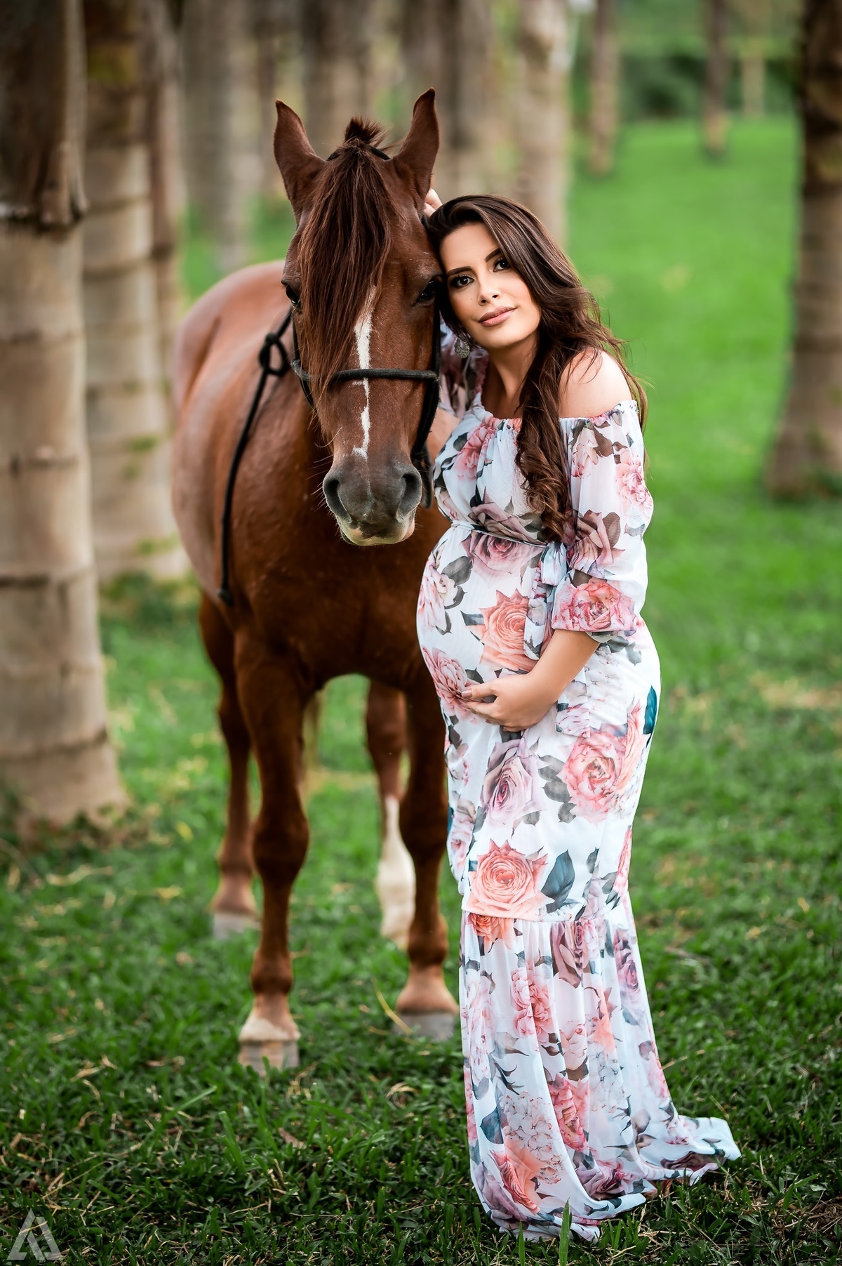 Alex Jardim Fotografia Fotógrafo Ensaio Gestante Grávida Lifestyle Sensual Resende Itatiaia Penedo Porto Real Quatis Barra Mansa Volta Redonda Sul Fluminense Serrinha do Alambari Angra dos Reis Paraty Visconde de Mauá Pousada Vale Encantado